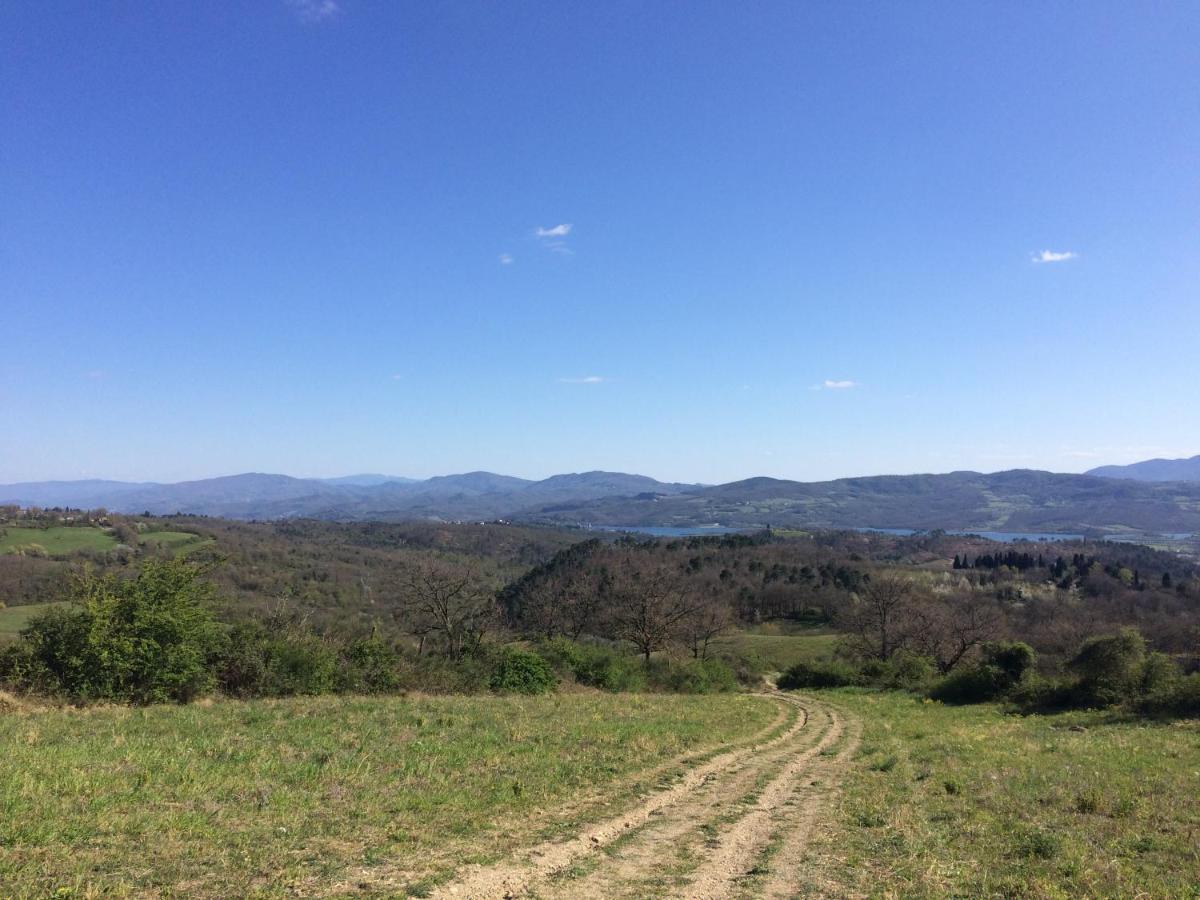 Agriturismo Corzano Barberino di Mugello Bagian luar foto