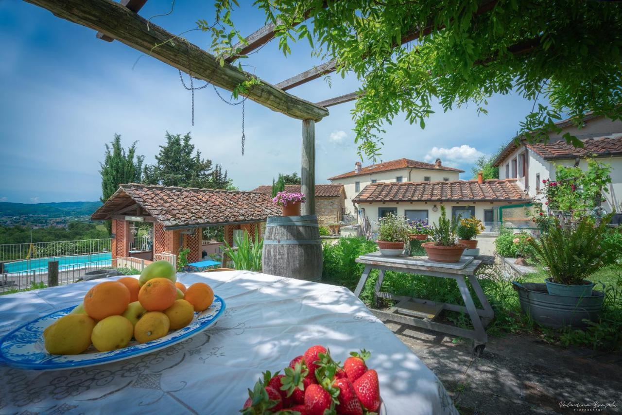 Agriturismo Corzano Barberino di Mugello Bagian luar foto